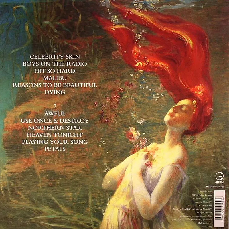 Celebrity Skin LP - Hole - AsfaltShop.pl