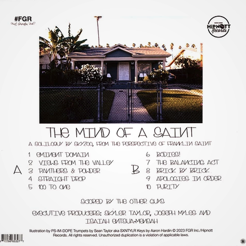 洋楽 skyzoo 2LP the salvation US org Skyzoo - The Salvation (2XLP) Navy Blue & White Marbled Vinyl