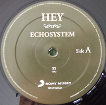 Hey - Echosystem [LP]