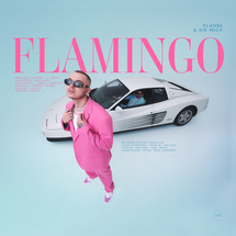 PlanBe / Sir Mich - Flamingo [pakiet z czapką]